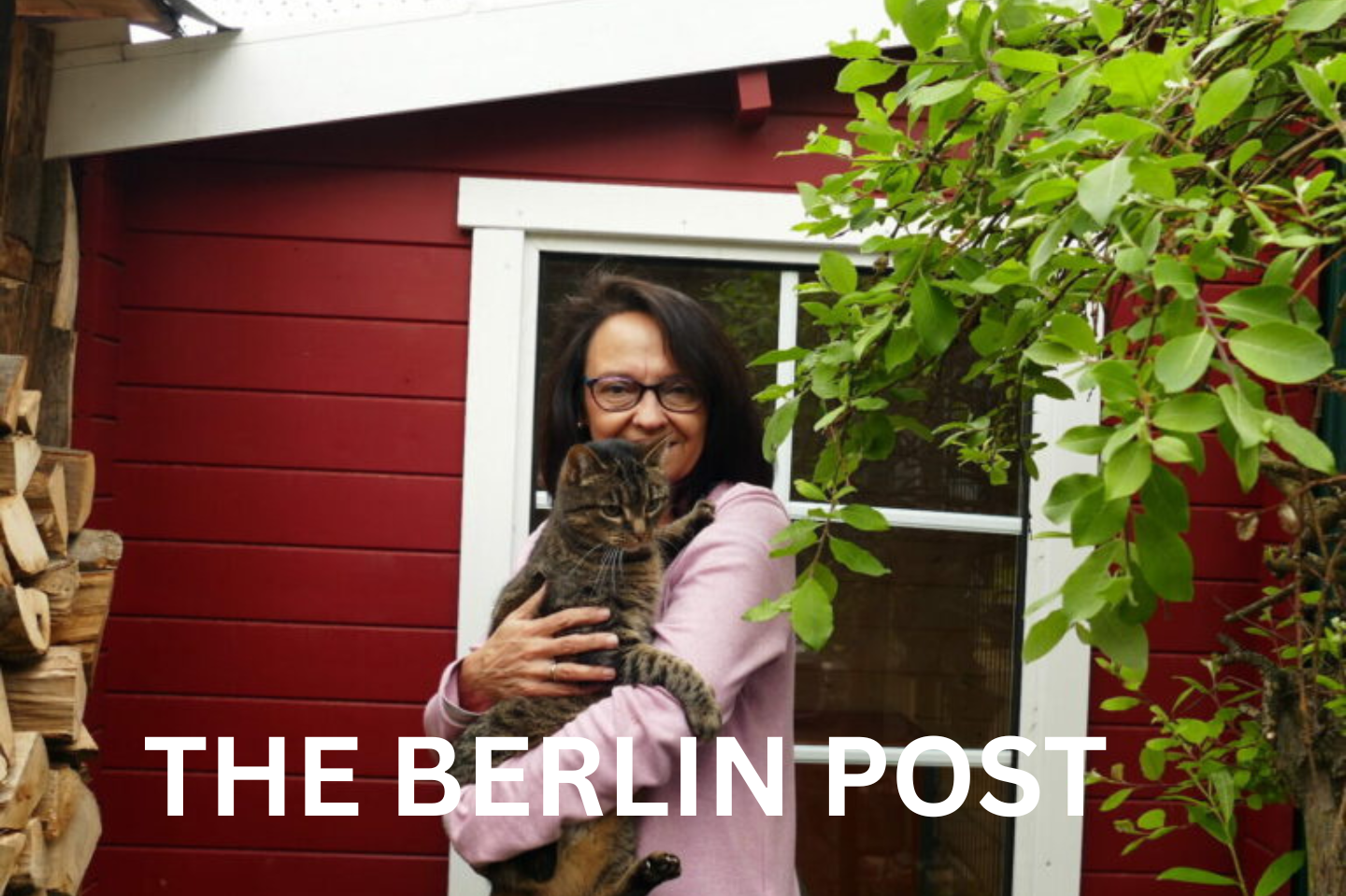 Katzenpension in der Nähe Die perfekte Lösung für Ihre Katze während Ihrer Abwesenheit